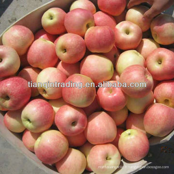 porcelaine fruit fuji apple